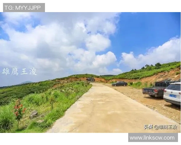 杭州极限运动队防守策略深度分析与战术解读