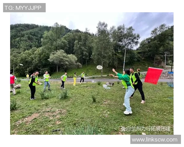 飞盘竞技中的团队精神与协作策略分析：杭州飞盘队的成功之道