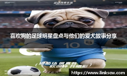 雷火电竞官方网站入口